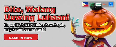 Premium Casino Gaming Experience